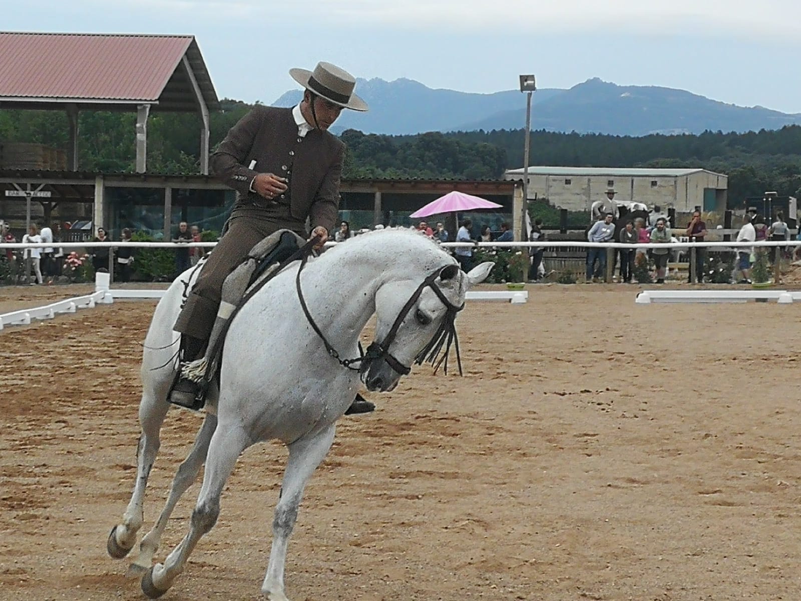 Final del Campeonato Navarro de Doma Vaquera 2018 en Acedo